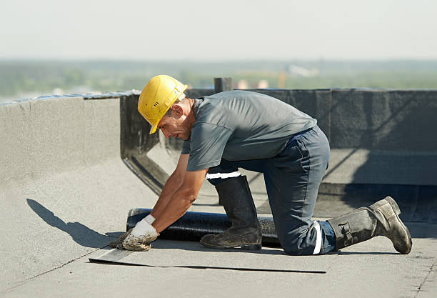 Best Insulation Installation Services in Forest, MS